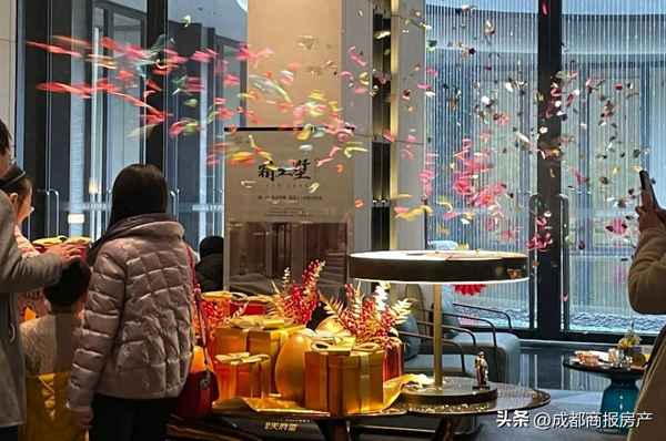 成都叠拼别墅新楼盘,成都叠拼别墅中叠视频