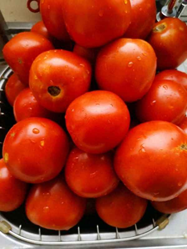 番茄醬怎么做家庭做法、正確的西紅柿醬做法