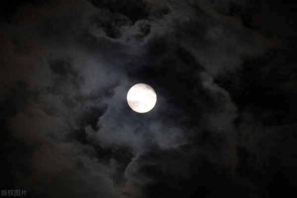 虫声新透绿窗纱以动衬静(虫声新透绿窗纱的新是什么意思)