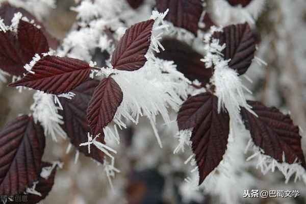 疑是地上霜的霜怎么写;疑是地上霜的霜字怎么写
