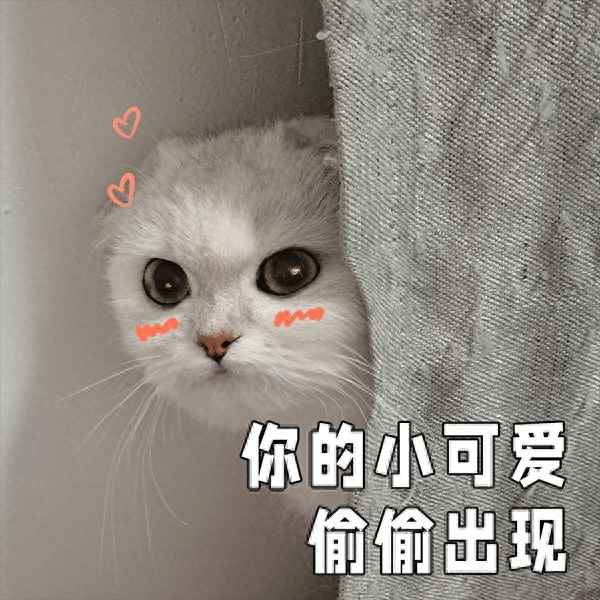 南京景區門票一覽表2023、南京年卡2023景點明細