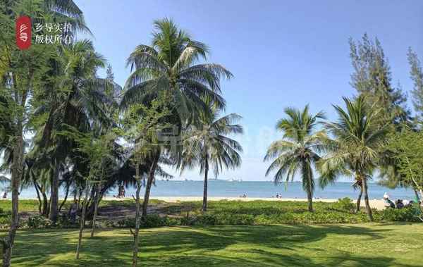 海南租房多少钱一个月;海南租房大概多少钱