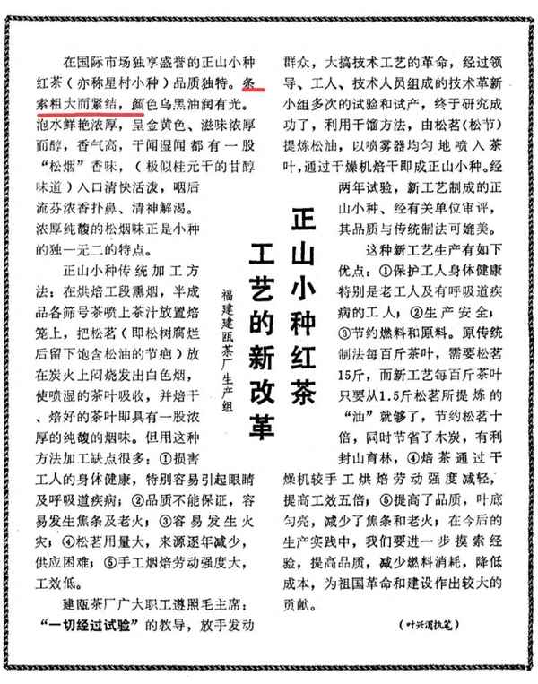 臺灣碳培老烏龍什么時候開始;炭焙烏龍和油切烏龍