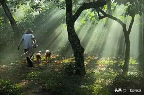 四海无闲田的意思是什么,四海无闲田,是什么意思？