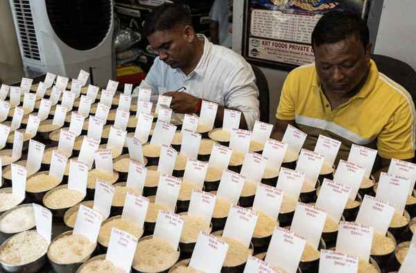 国际大米价格最新行情-做米糕用什么米最好