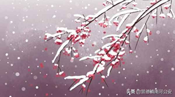 己亥杂诗其五的鉴赏—己亥杂诗其五鉴赏视频