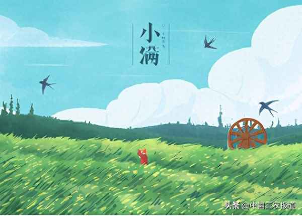 夏季節氣的諺語精選;夏季氣候諺語