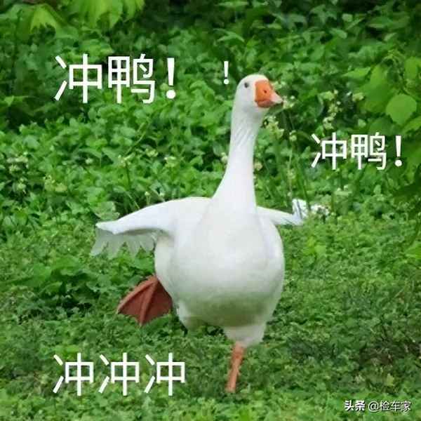 保羅的藍(lán)色GTR叫什么—保羅開的藍(lán)色什么車