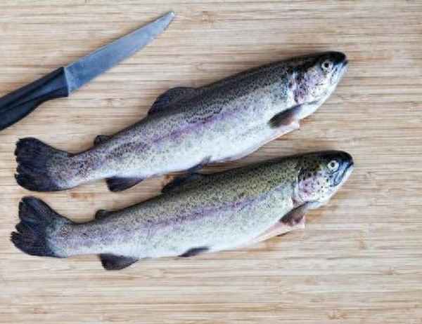 虹鱒魚(yú)的營(yíng)養價(jià)值、虹鱒魚(yú)的營(yíng)養價(jià)值高嗎