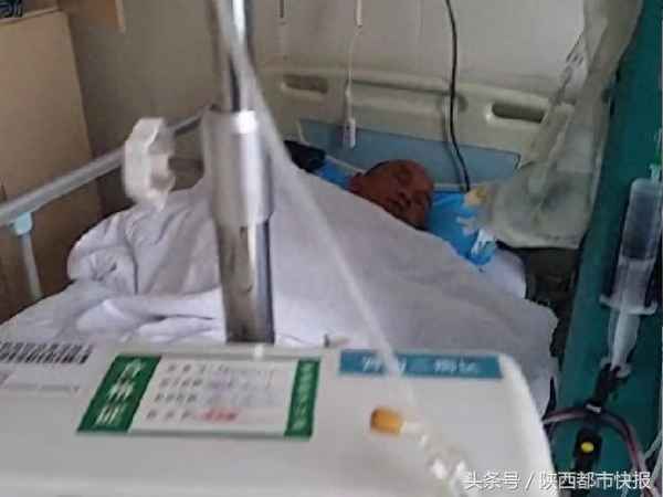 人头蜂蛰了一下要紧吗_人头蜂把人蛰了后遗症