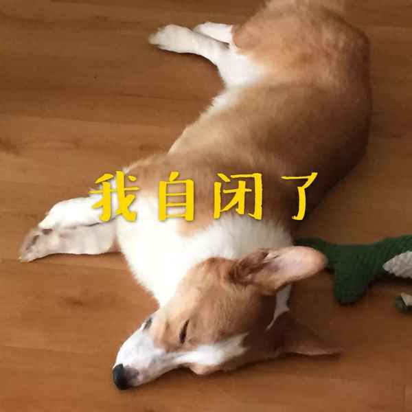 别人在小区小便怎么处理—小区有人乱拉屎尿 违法不