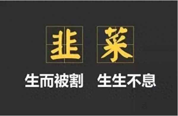 盛洋科技累计跌幅超20%,盛洋科技深度分析雪球