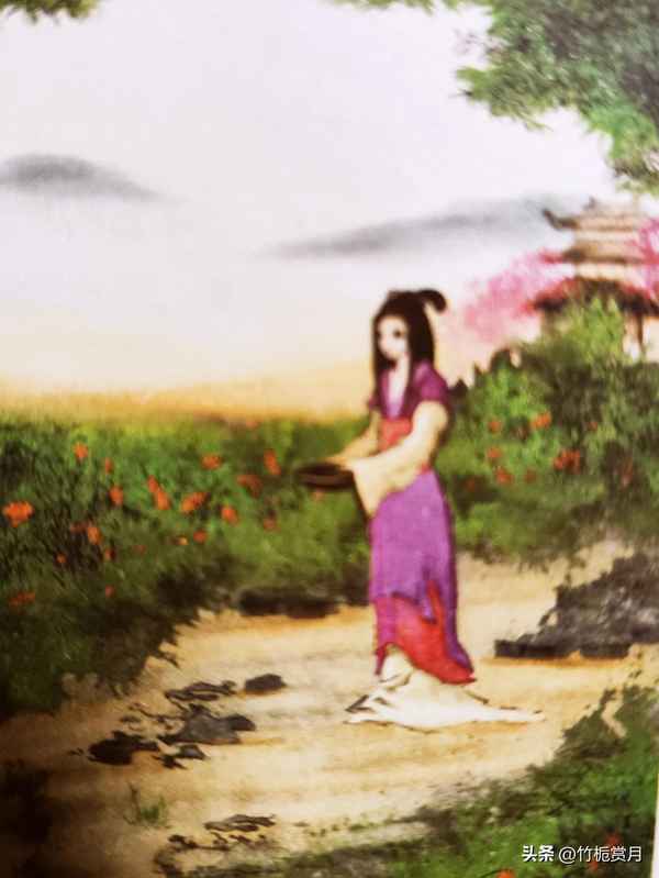 采蘩诗经注音及译文,诗经采采芣苢注音版