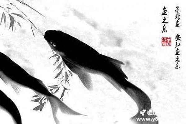 一个男生说子非鱼安知鱼之乐,别人说子非鱼安知鱼之乐怎么回答