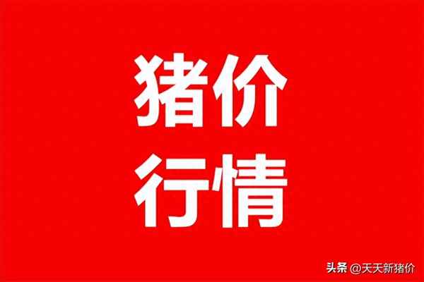 安徽省的猪价多少钱一斤(安徽现在生猪价格多少钱一斤)