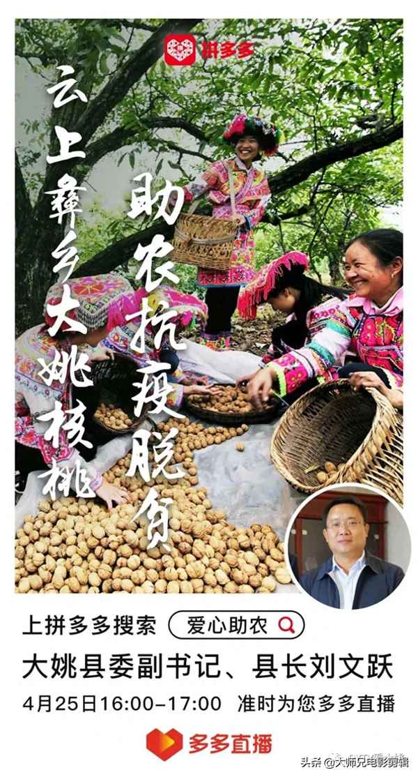大姚核桃博物館簡介—大姚核桃批發市場在哪里