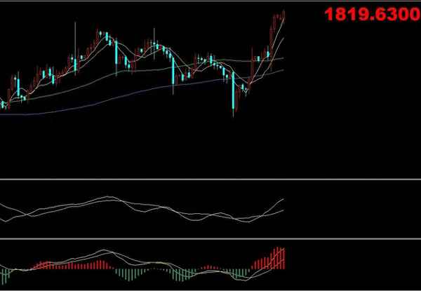 XAUUSD后面的p是什么意思(p后面加数字是什么意思)
