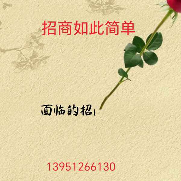 落地項目是什么意思-落地項目是什么意思啊