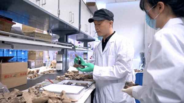 东方海洋执行总监曹超—东方海洋副总裁