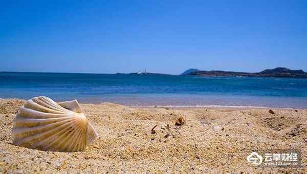 云掌财经下载、云掌财经24小时