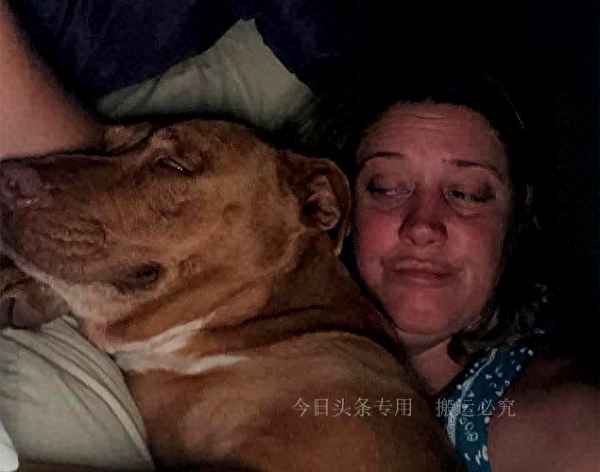 一个小男孩旁边有只狗的图片;一个小男孩旁边有只狗的图片是什么意思