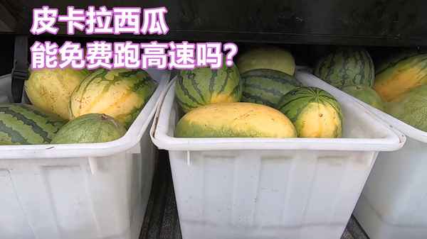 皮卡拉多少斤白菜可以走绿通-皮卡车免过路费方法