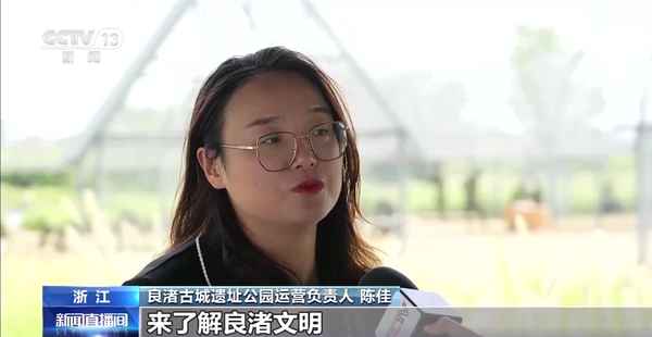 良渚文化遗址(良渚文化遗址出土文物)