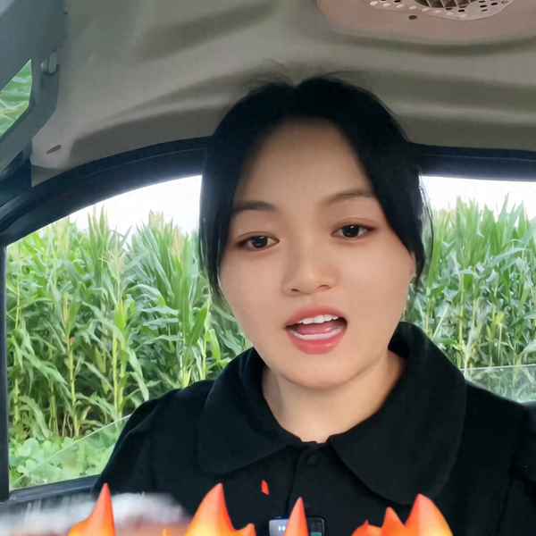 漢堡包半成品怎么做—漢堡包半成品怎么做視頻