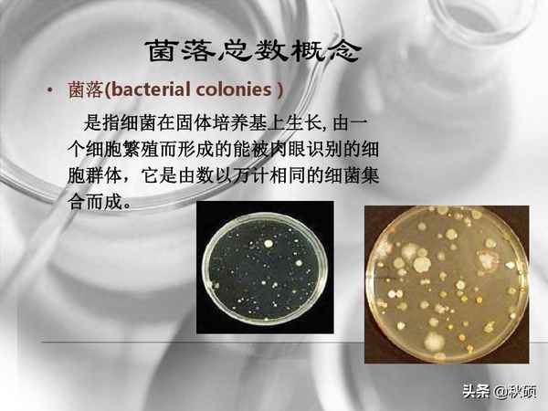 食品安全檢查內容、食品安全檢查內容有哪些