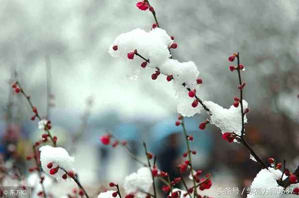 莫愁前路无知己什么意思、你我皆是红尘客,何不浊酒忘忧愁