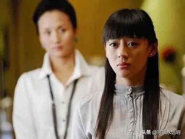 野鴨子電視劇全集30—野鴨子電視劇免費觀看全集cctv8