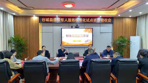 項目驗收檢查結果,項目驗收報告