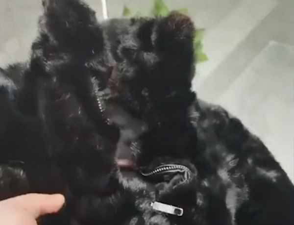 不小心把鑰匙放洗衣機里洗了(鑰匙扔進洗衣機)