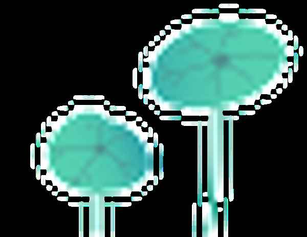 云南财经大学附属中学_云南财经大学附属中学是公立还是私立