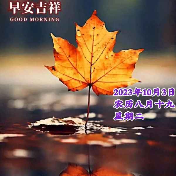 八月早安最火图片,八月早安最火图片文案