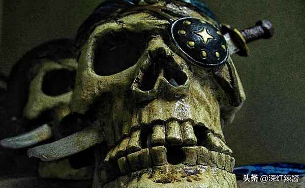 海盗文化_海盗文化与丛林法则的关系