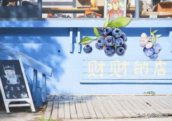 武汉的财经大学(武汉的财经大学如何)