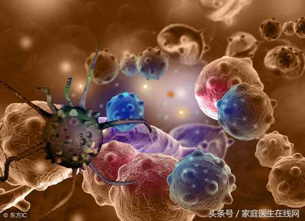防癌的食物有哪些、防癌的食物有哪些主食