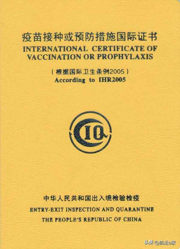 国际旅行健康网：提升您的出行安全与舒适度