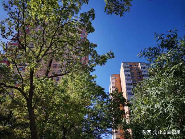 北京龙潭公园附近有什么小区_北京龙潭公园附近有什么好吃的