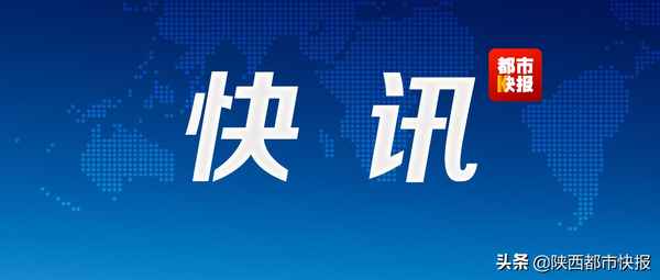 西安偉博教育(西安博碩教育)