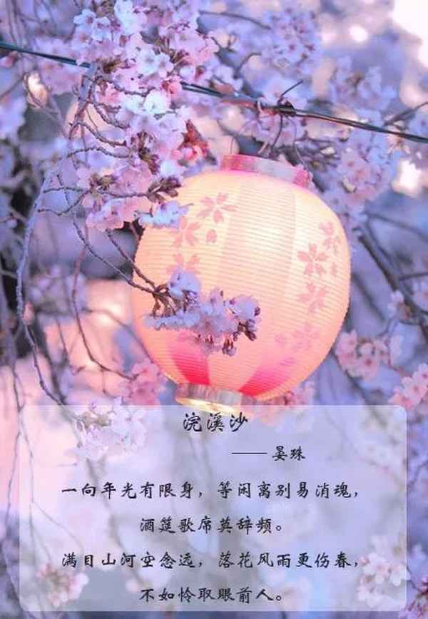 满目山河空念远全诗(满目山河空念远的下一句)