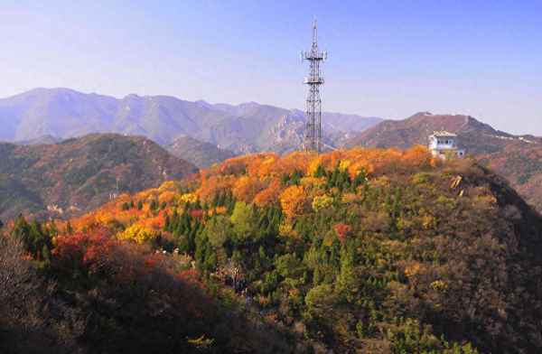 北京哪里有平房出租房屋;北京平房出租信息去哪个网站