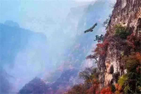 豬圈溝需要爬山嗎;去豬圈溝的路好走嗎