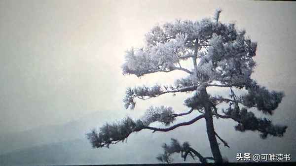 书中的时代时代中的书、讲中国各个朝代的书