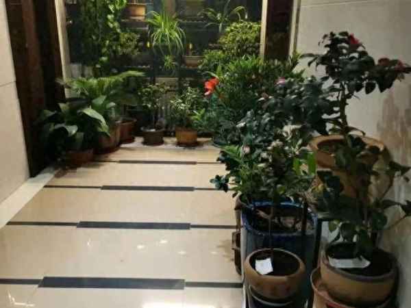 小区有人把花盆放在阳台外面—楼上花盆放在阳台外面
