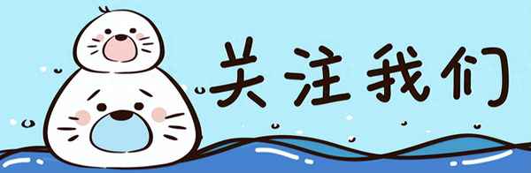 邁騰b9報價及圖片參數配置-下一代邁騰b9外觀