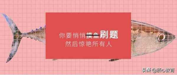 質心教育官網—質心教育官網怎么樣