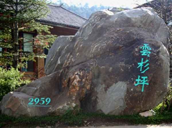 云杉坪不坐索道能上去嗎—云杉坪可以爬上去嗎