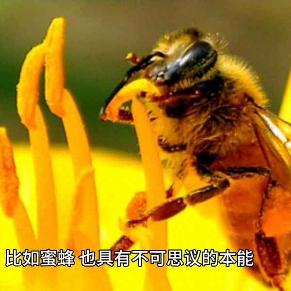 童年的秘密摘抄與心得;童年的秘密摘抄與心得3000
